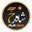 Shahrukh Solar House logo